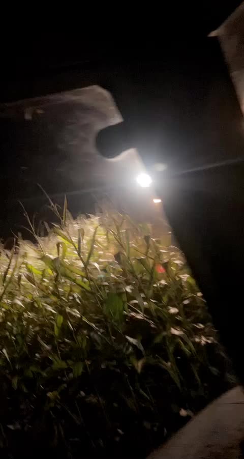 @FelixGro&szlig;