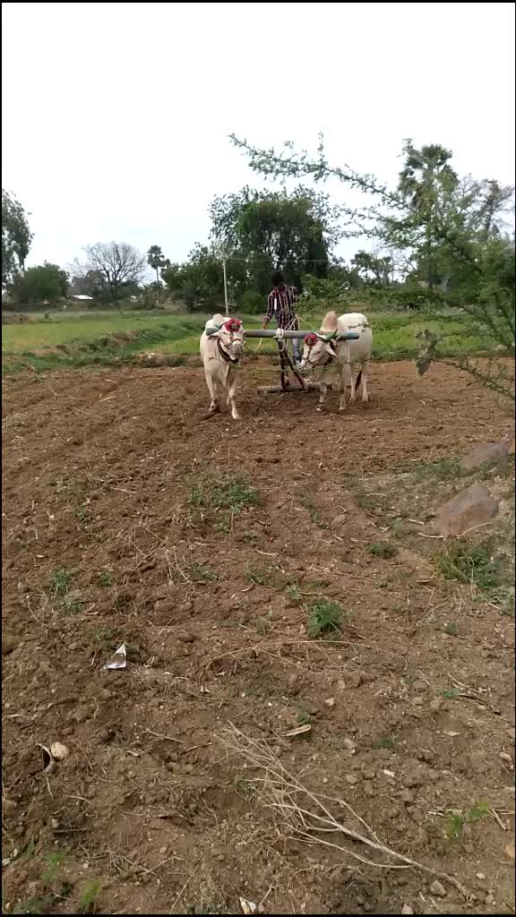 @Husenappa Nayak