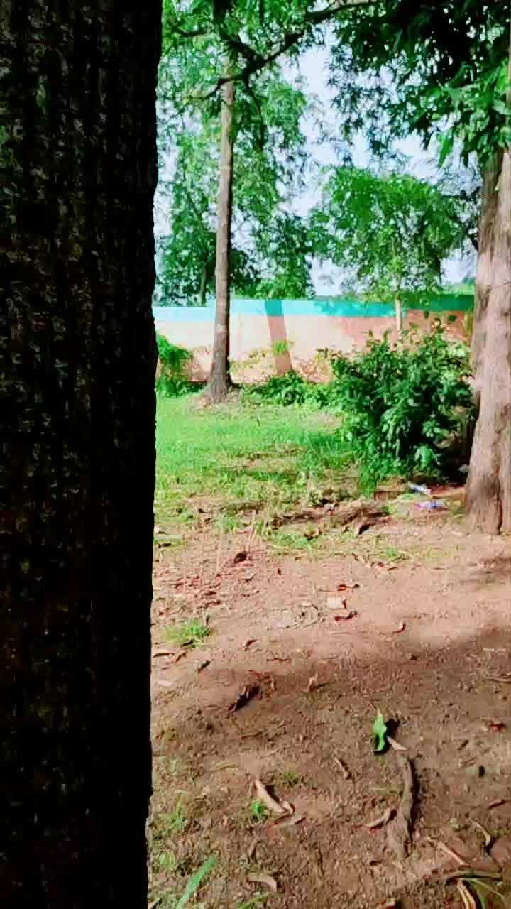 @Omi Tyagi