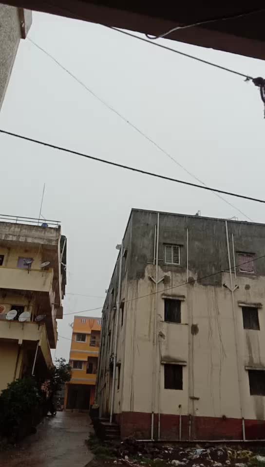@राणी सानप