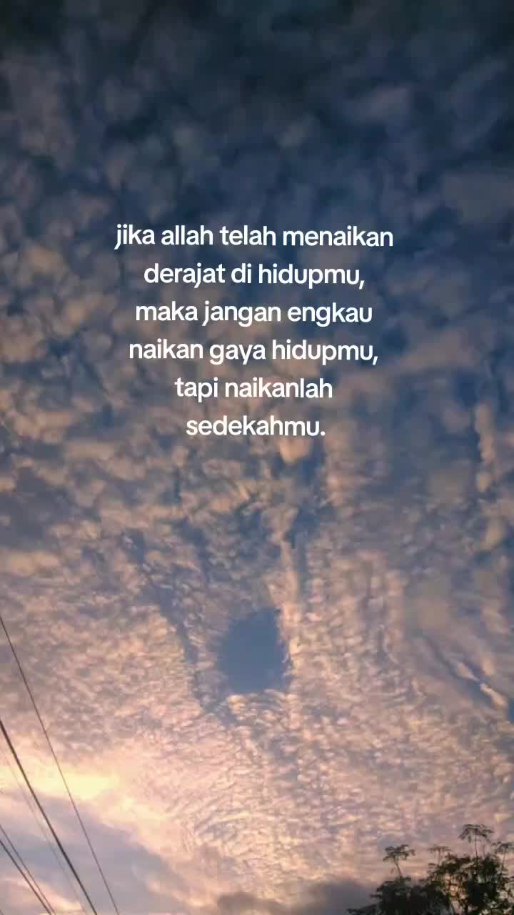 @Tempe QINNAN