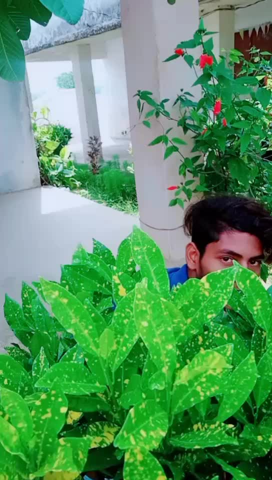 @sunilgouda