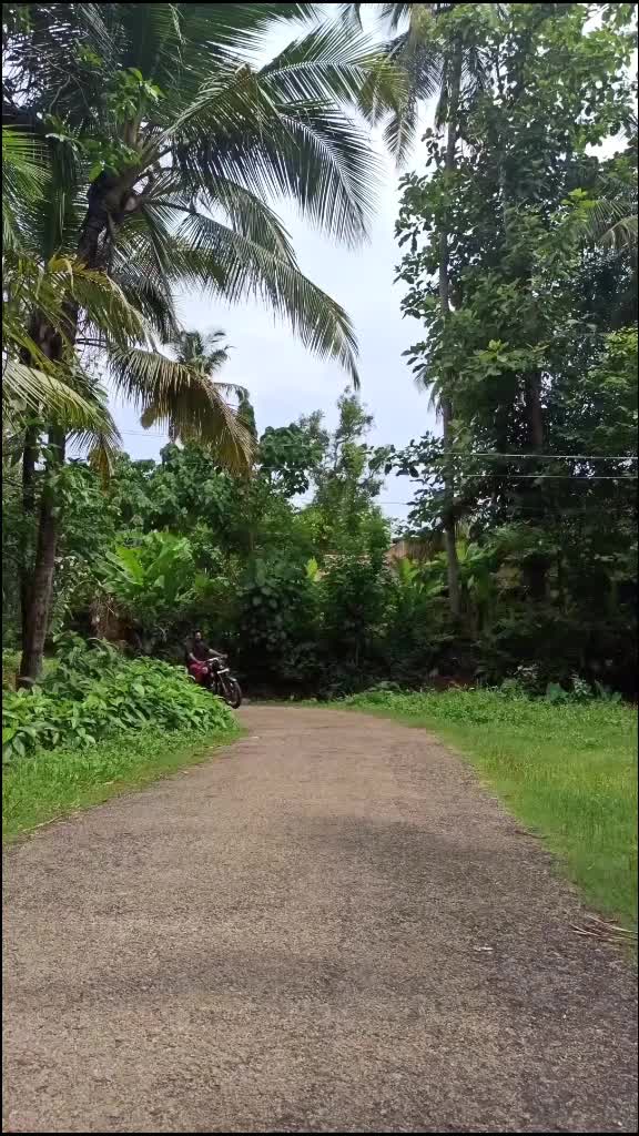 @അസുരൻ