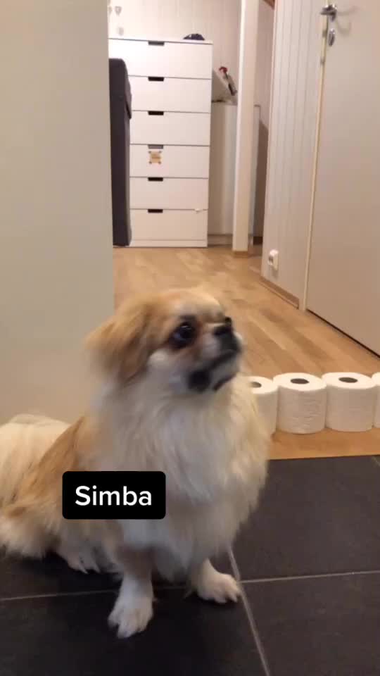 @Solveig