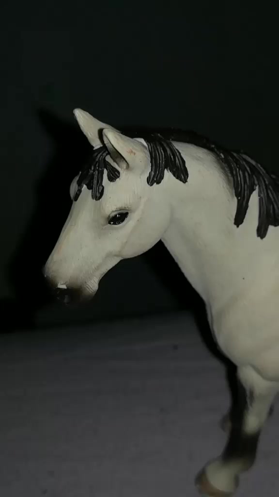 @Cc mes poneys