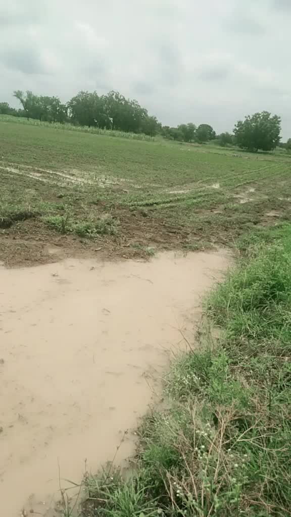 @💪विघ्नहर्ता ग्रुप💪