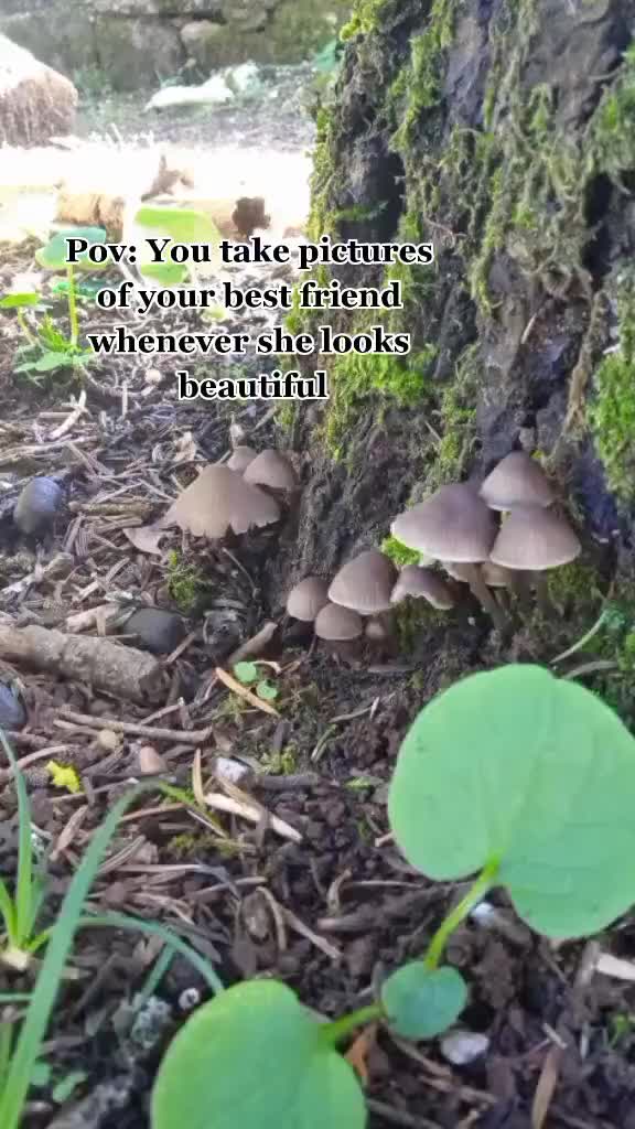 @<3