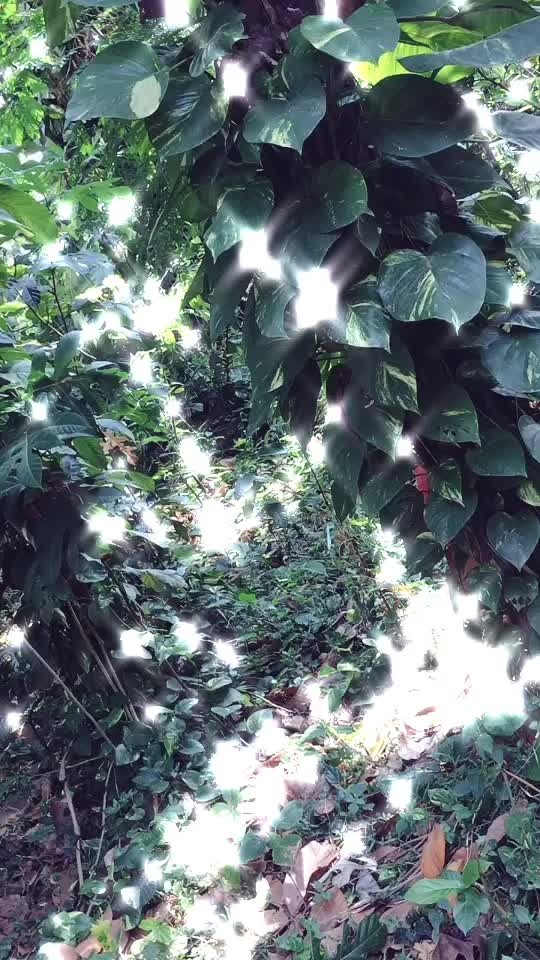 @𝓟𝓻𝓪𝓿𝓮𝓮𝓷