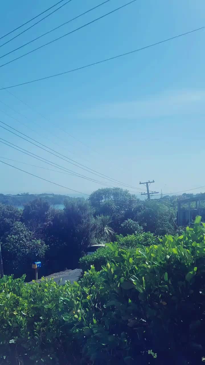 @Courier Driver in Paradise