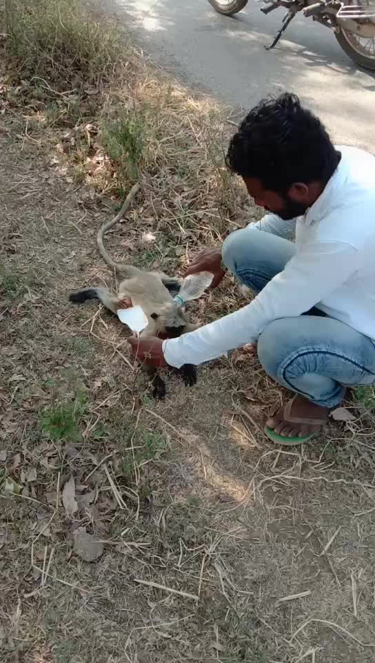 @Dharmendra Deshmukh