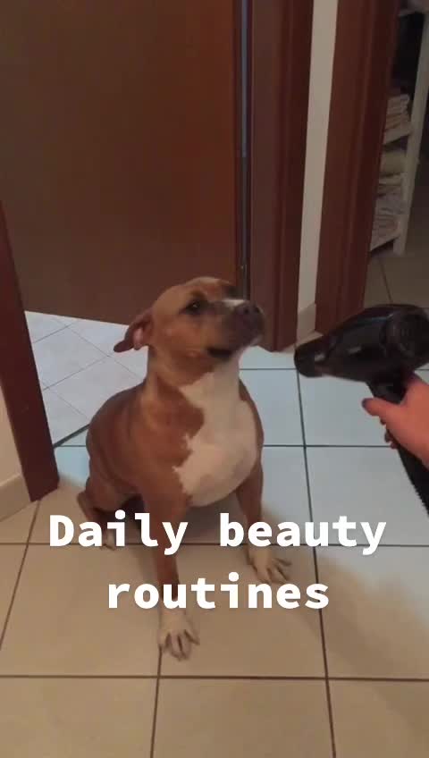 @Sweety_India