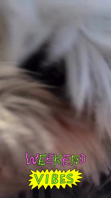 @Jessica V.