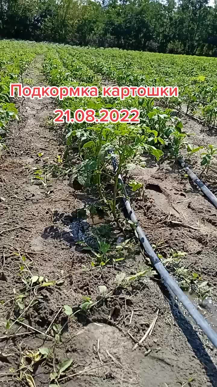 @Анжела Романенко81