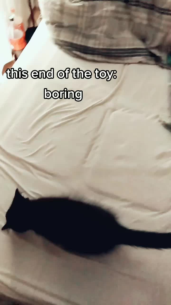 @scuttlefish