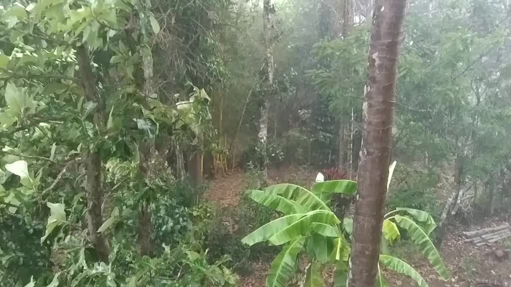 @Aj_dhruva
