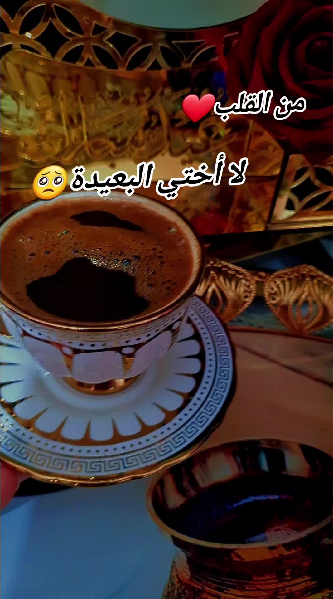 @سيرين الحامد