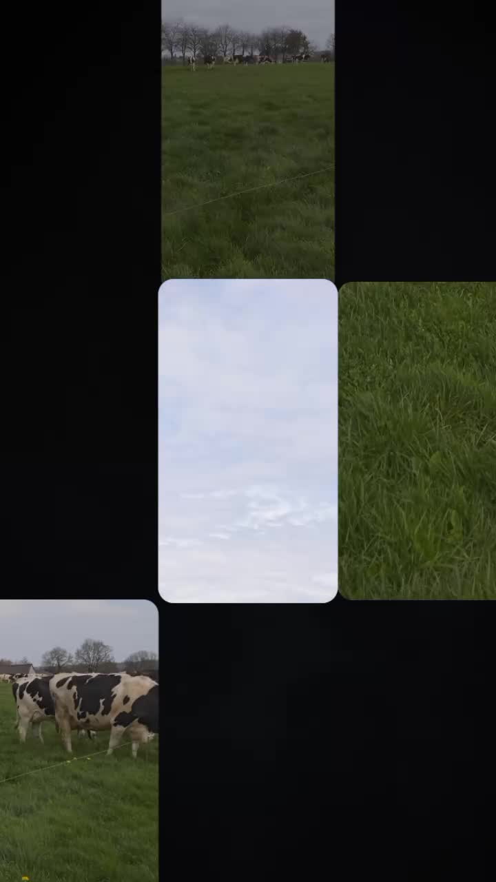 @louison.heulin