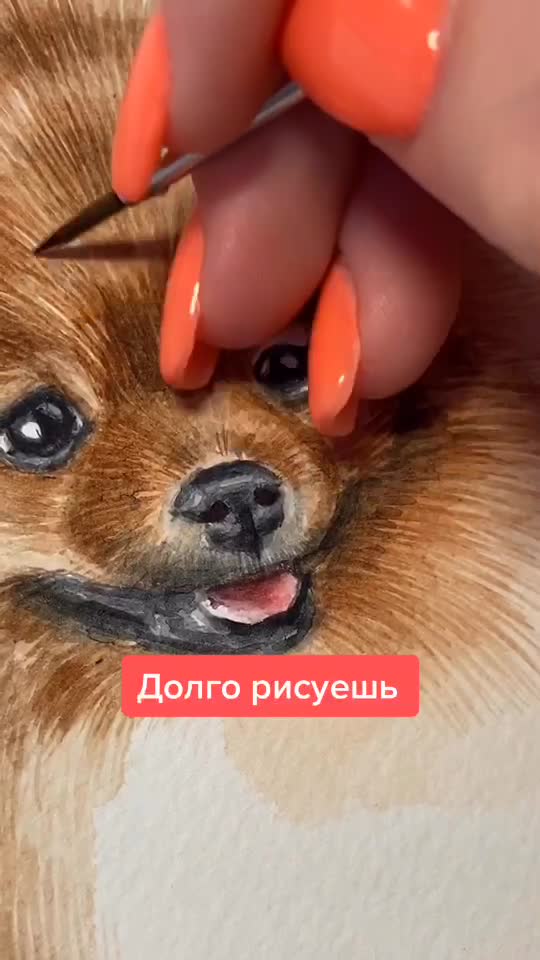 @Арина | портреты питомцев🐶