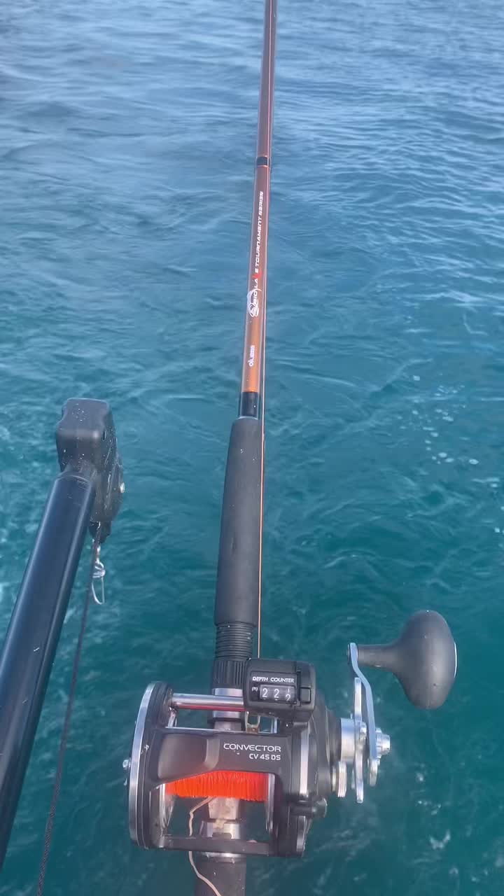 @sportytoofishingcharters