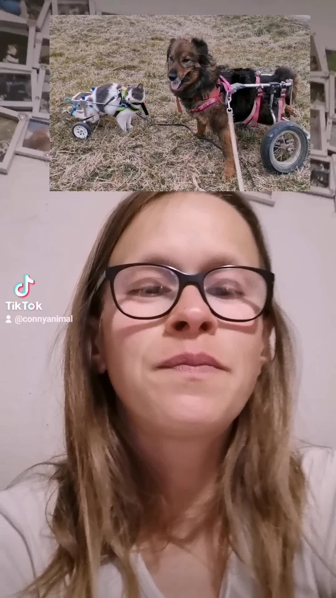 @Connysmultikultitruppe