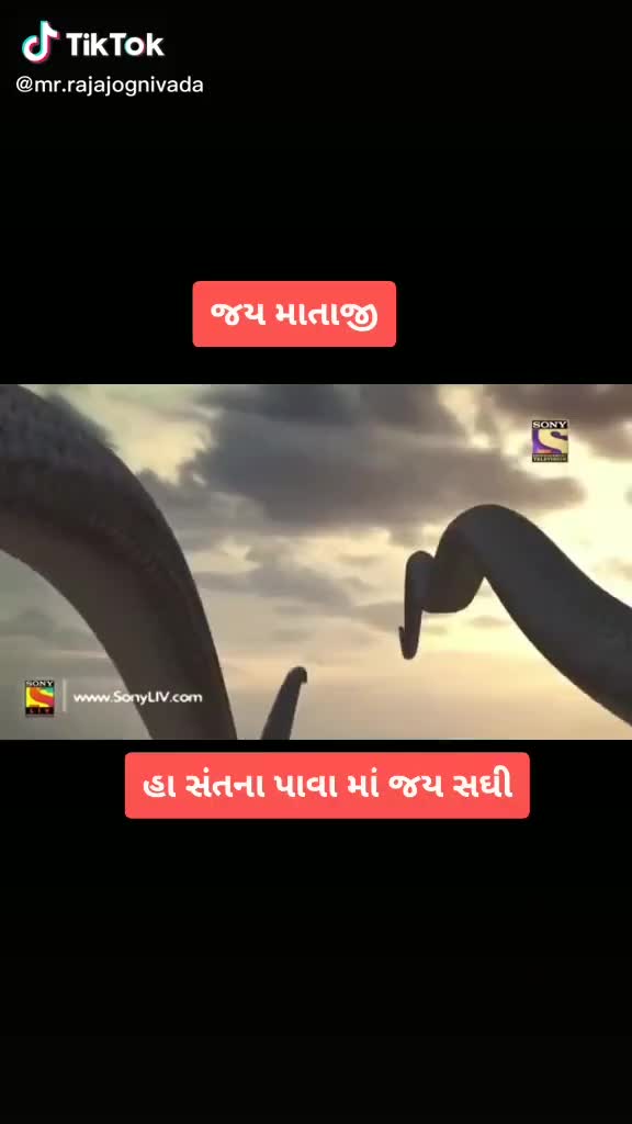 @purv thakor