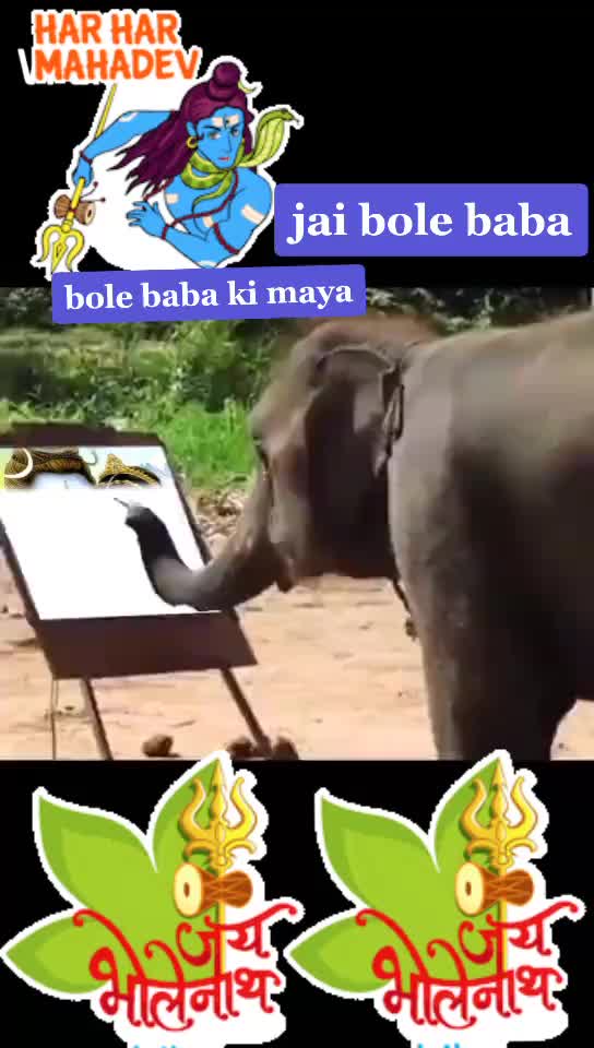 @Gurjentgill cheeka S