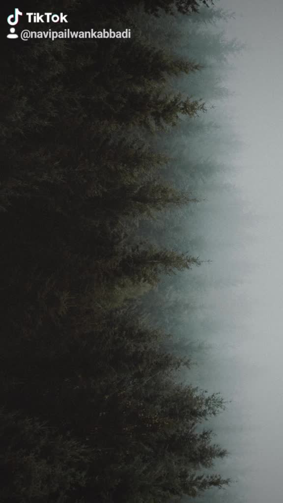 @Ⓝⓐⓥⓔⓔⓝ Ⓨⓐⓓⓐⓥ