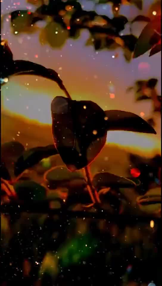 @◦•●◉✿A R Love✿◉●•◦