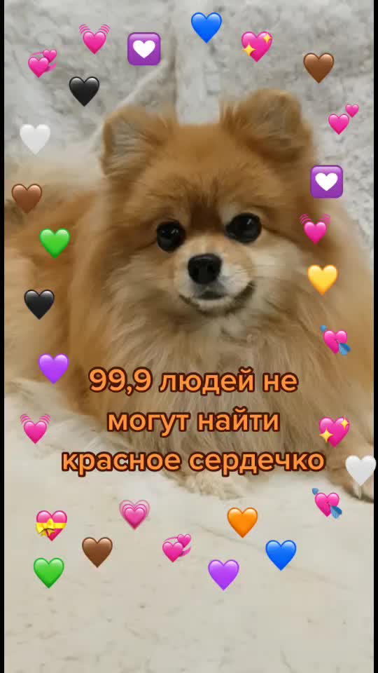 @busiya_cutie🐻♥️