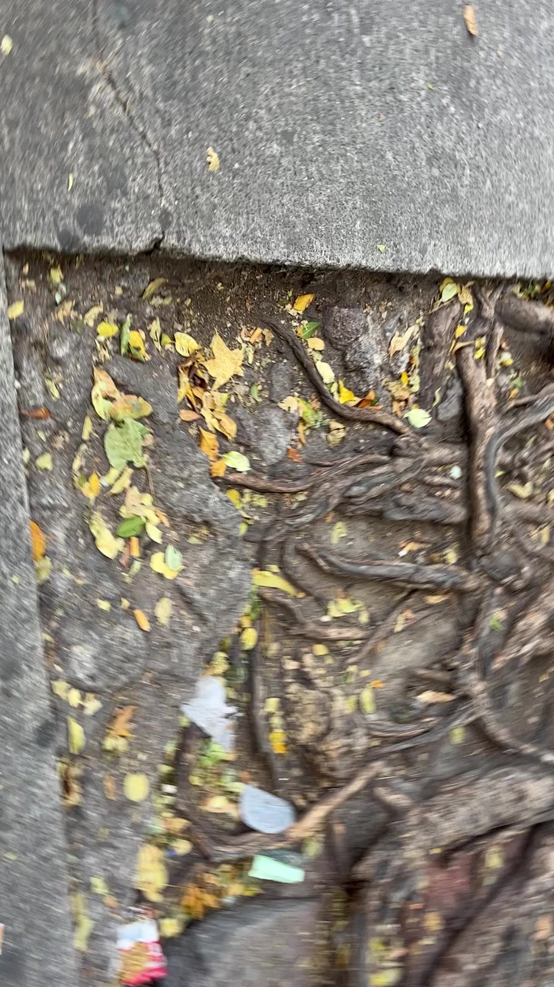@ECC M&eacute;xico