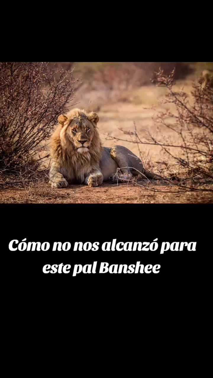 @Juanis_21