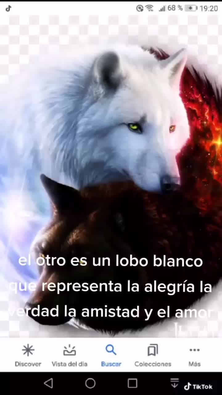 @Victoria  Manzo 