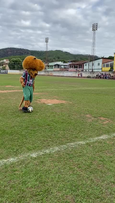 @cf intervila
