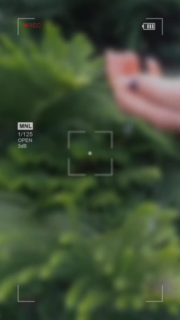 @Dêê_Pï_kã_ Bø_dø🌿