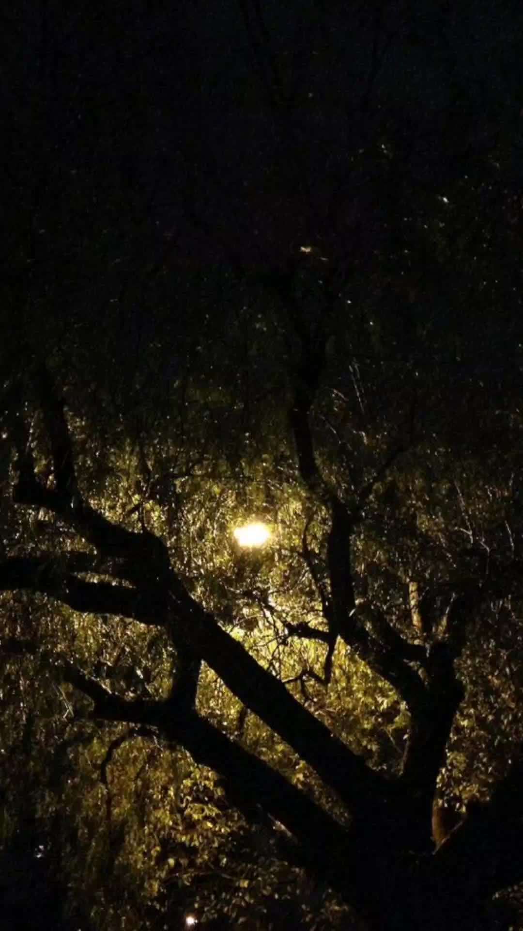@lost soul
