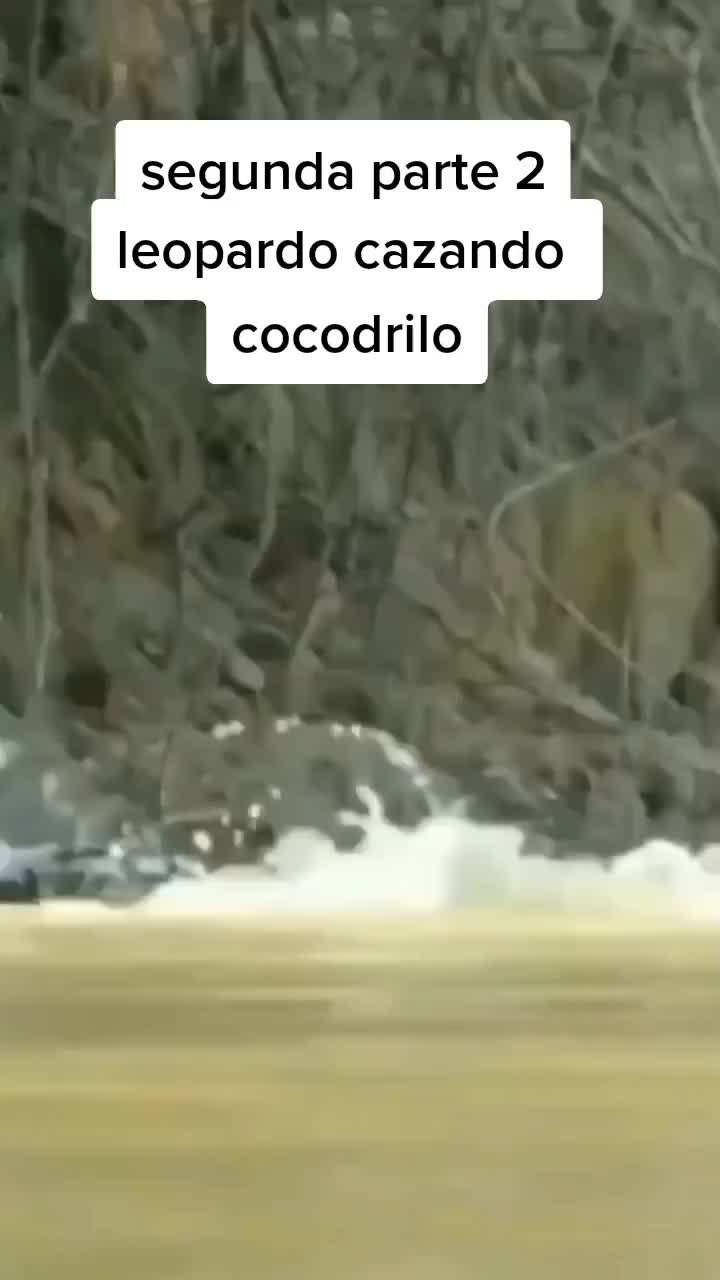 @cy