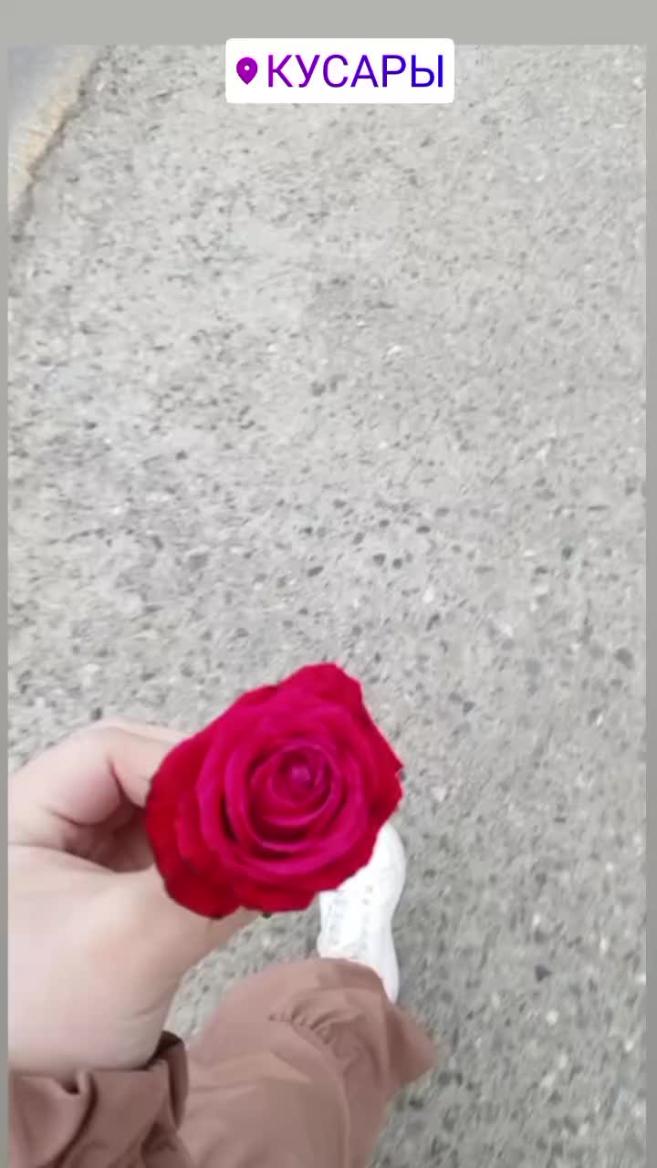 @lezgi ruw38