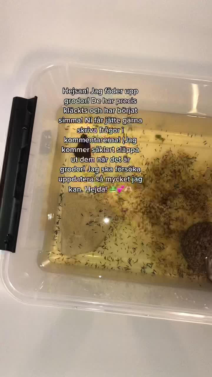 @๐ธ๐ถ๐๐๐๐๐๐ธ