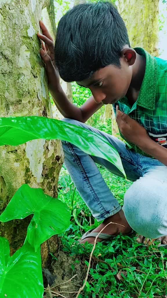 @ফুলিয়ার__রবিন