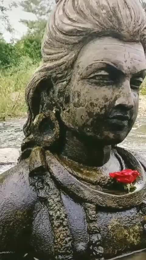 @paridwal 009