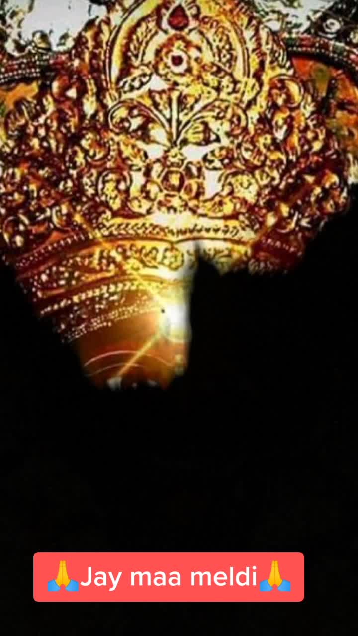 @👑tigar meldi👑