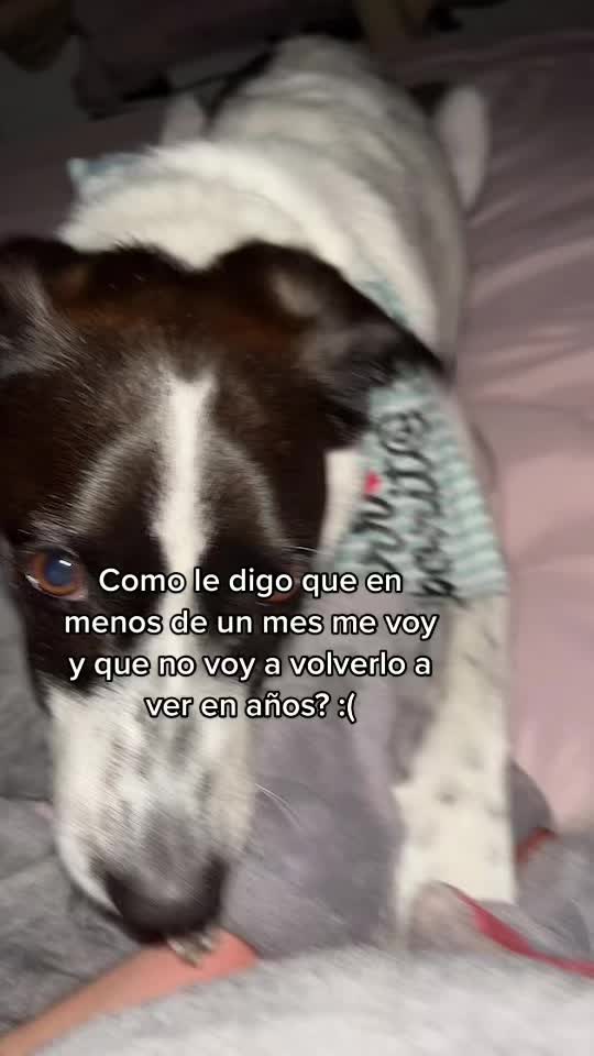 @Sofia Serrato