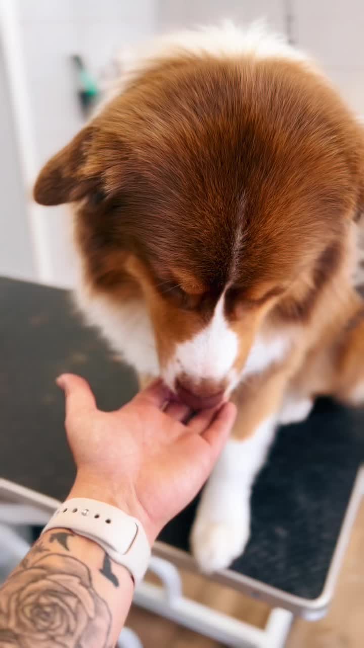 @Groomer ✃ 76