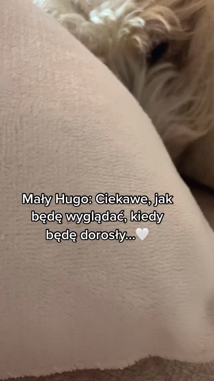 @𝐻𝑢𝑔𝑜