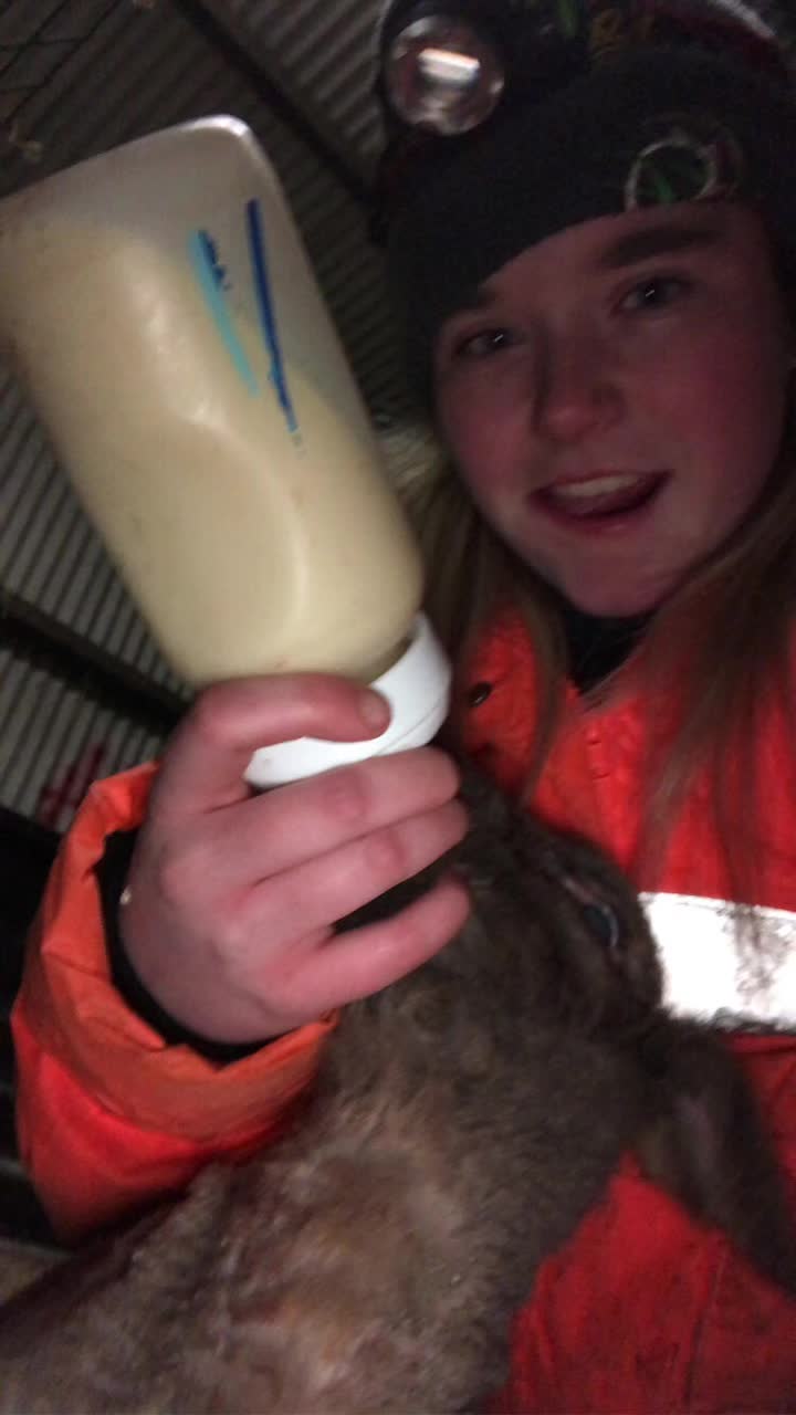 @Chloe Hamill