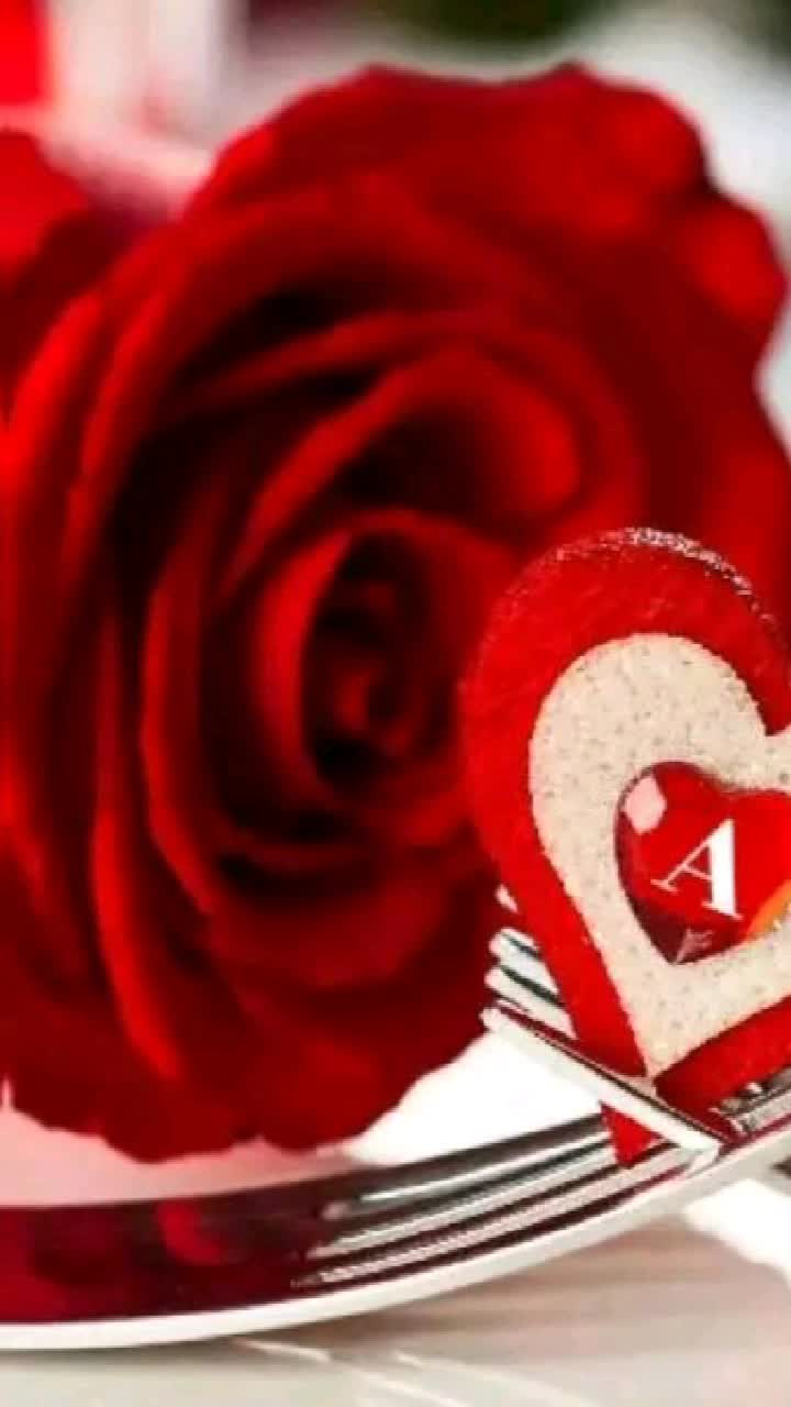 @Arti11499