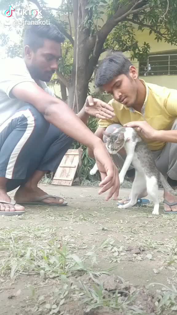 @Aj Ranakoti