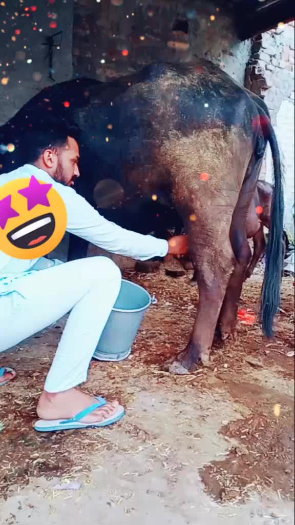 @Amrit Chak