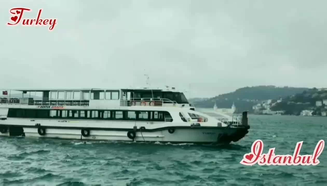 @爱的日常生活