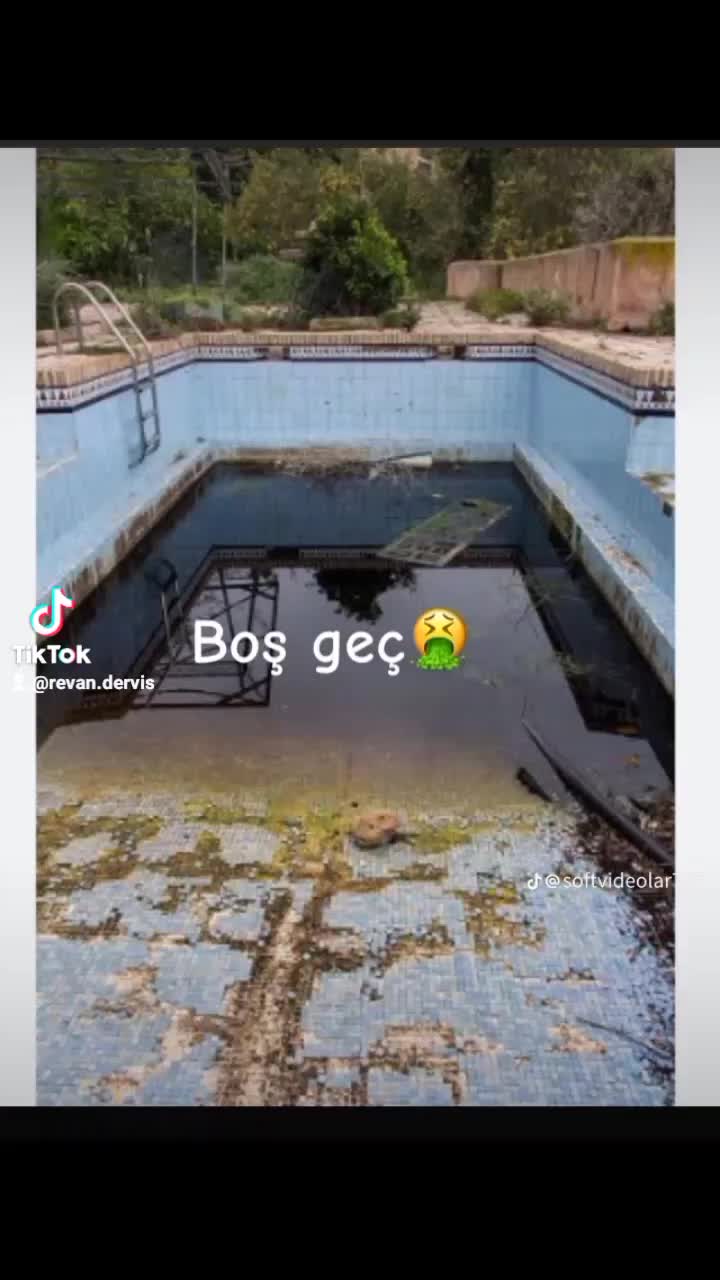 @revsan